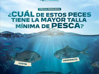 POST SOCIAL MEDIA PARA MOVIDICK