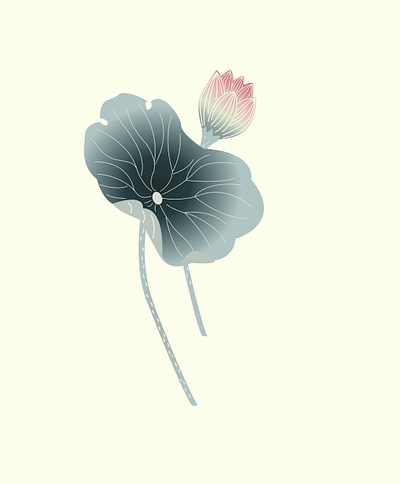 Lotus (Japan inspired) flower flowers illustration lotus nature