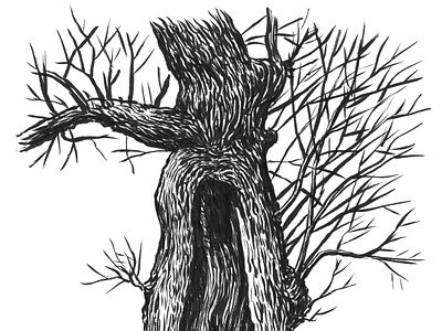 Split Tree art artist artwork creepy drawing hand drawn illustration ink nature plants tree