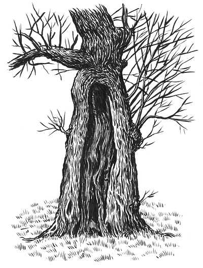 Split Tree art artist artwork creepy drawing hand drawn illustration ink nature plants tree