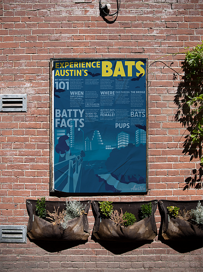 Infographic Poster: Experience Austin's Bats design graphic design illustration typography