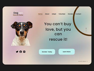 Dog Rescue Website