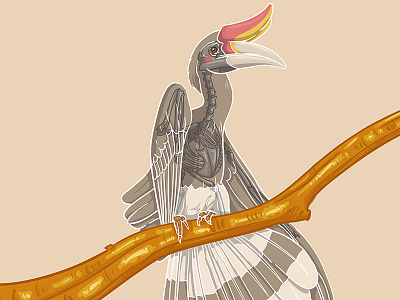 Endemic Fragile Series - Hornbill bird book cover cover art design digital illustration endemic extinction fragile hornbill illustration painting series skeleton