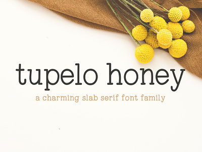 Tupelo Honey | A Charming Slab Serif