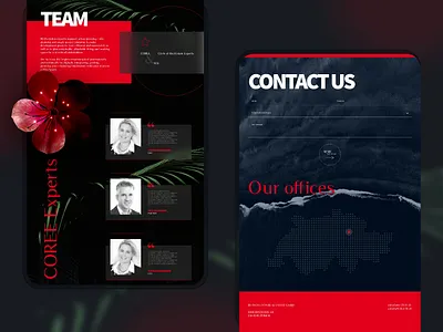 REDVOLUTION - REAL ESTATE METAVERSE bold ui creative design modern real estate state of the art ui web design