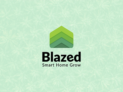 BRAND/APP - Blazed branding graphic design logo ui