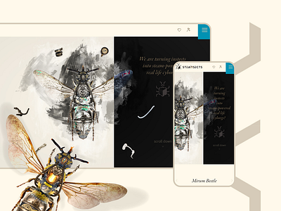 SteamInsects design graphic design ui uiux ux www