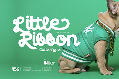 Little Ribbon Cutie Type app design font fonts ui ux
