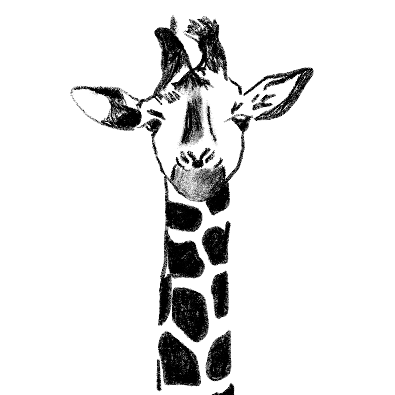 Giraffe Illustration- Black and White animal design animal digital animal illustration animal sketch black and white character character design face giraffe giraffe sketch giraffe illustration illustration procreate procreate illustration sketch