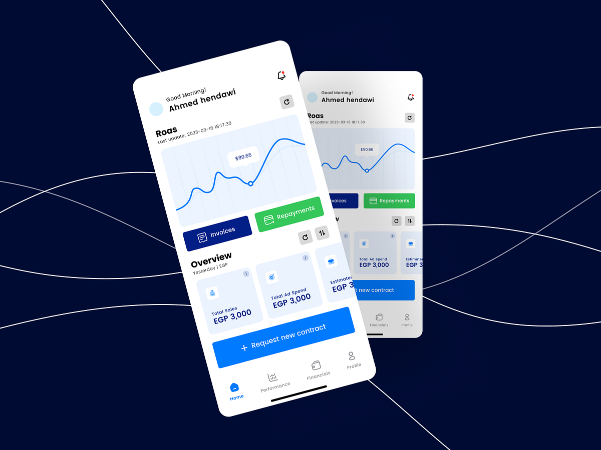 FlapKap - Finance Insights Assistant Image 2