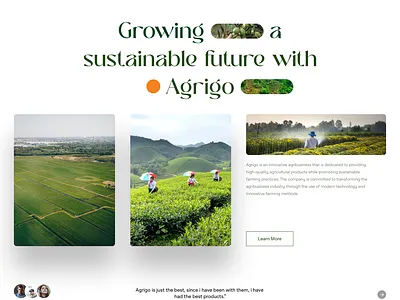 Agrigo agriculture branding design graphic design u ui ux web design