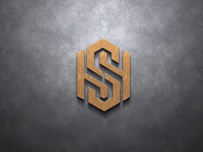 SN Hexagon monogram logo branding company company logo corporatedesign design logo logodesign monogrampixel