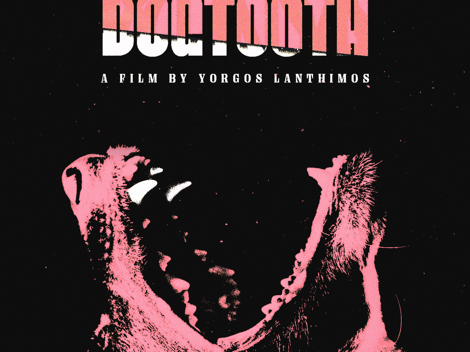 Yorgos Lanthimos designs, themes, templates and downloadable