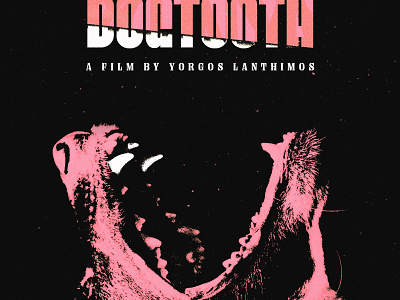 Dogtooth dogtooth film film poster key art movie poster movie posters poster poster design poster designer posters yorgos lanthimos