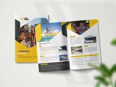 company profile annual report book brochure design catalogue company profile corporate graphic design layout magazine profile design template