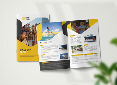 company profile annual report book brochure design catalogue company profile corporate graphic design layout magazine profile design template