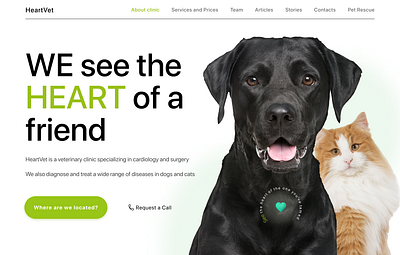 Website for the veterinary clinic animals cardiology cats clinic design diagnosis dogs health heart landingpage medicine pets surgery treatment vet clinic veterinary veterinary doctor webdesign