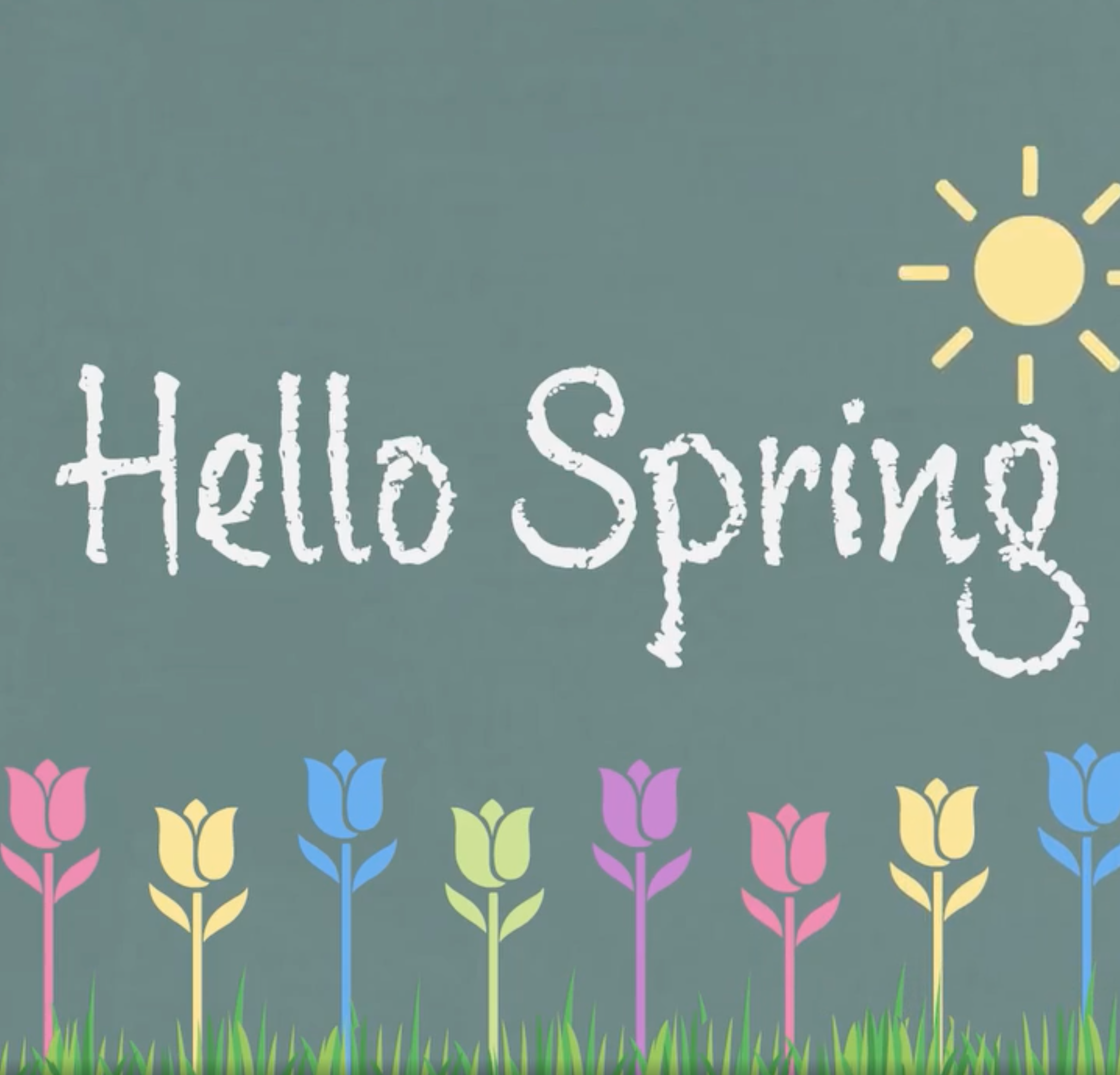 Hello Spring -Animation Design animation design graphic design illustration motion design motion graphics