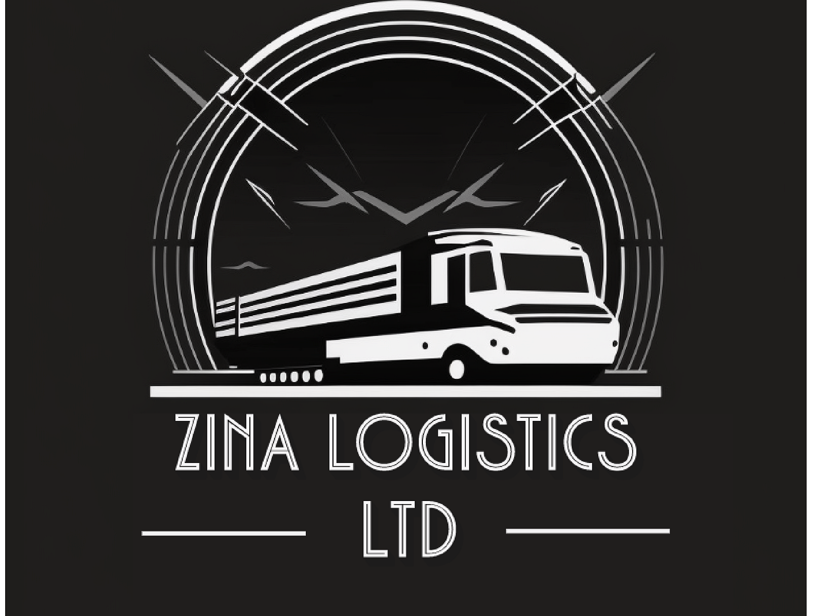 zina-logistics-ltd-by-matteo-diallo-on-dribbble