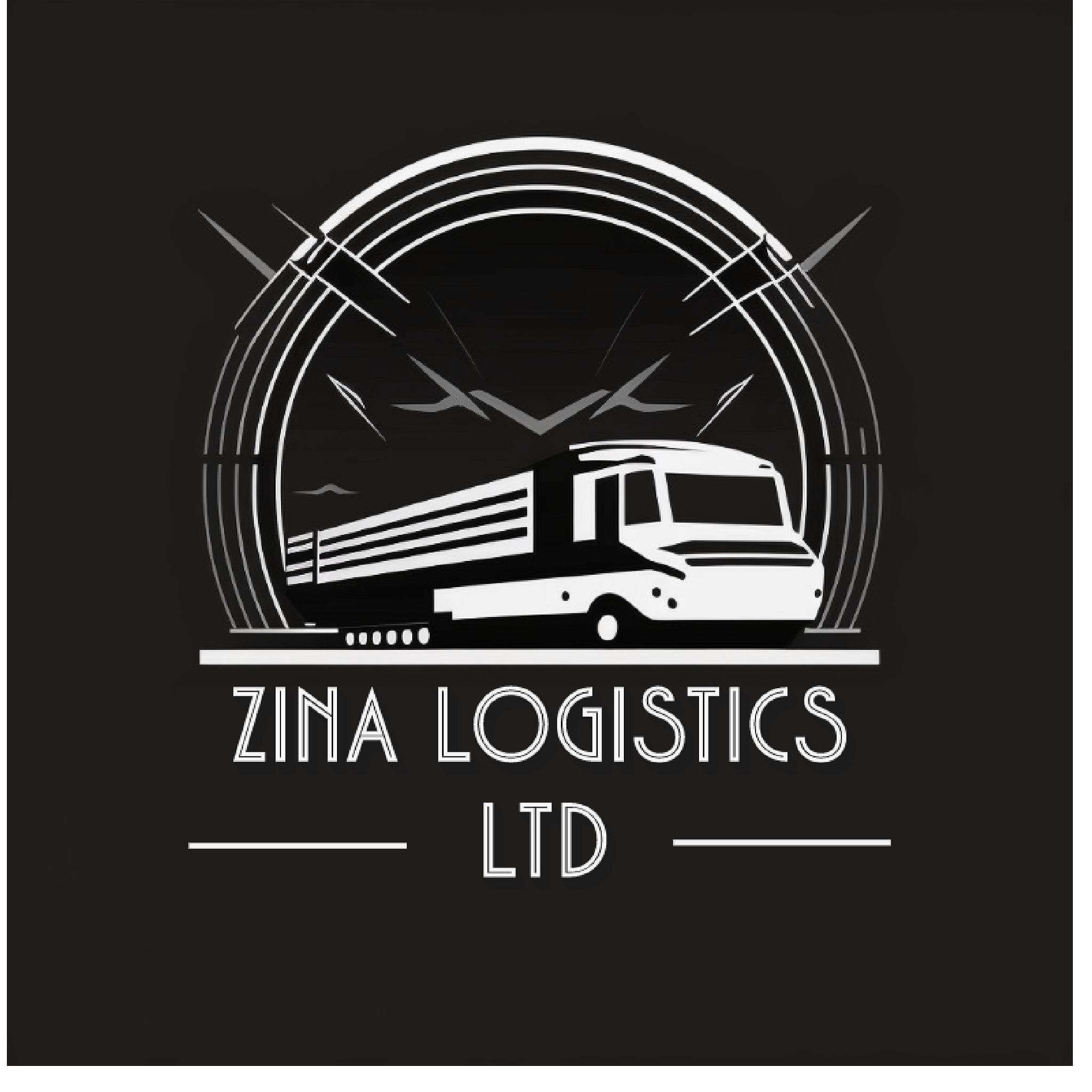 zina-logistics-ltd-by-matteo-diallo-on-dribbble