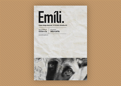 Emíli design graphic design