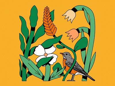 American Robin bird bird illustration colorful colourful digital illustration editorial illustration flower flower illustration illustration nature nature illustration ui visual design
