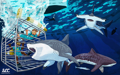 Shark Dive adobe fresco animals diving educational illustration great white hammerhead illustration kidlitart nonfiction ocean sciart shark shark dive tiger shark underwater