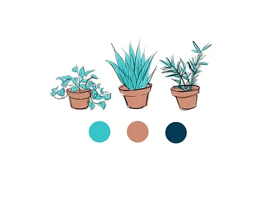 Bird and plant illustrations branding digital art drawing graphic design illustration