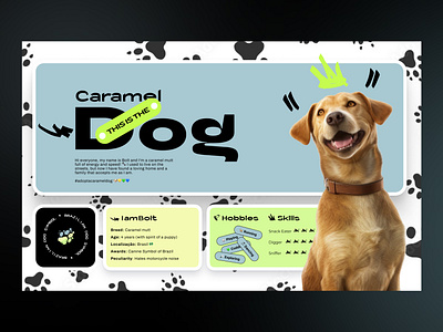 Caramel Dog - UI Concept adopt an animal big font brazil cards colored dog futuristic landing page landingpage midjorney modern pastel color palette social network social profile trend ui ui concept ux web development website