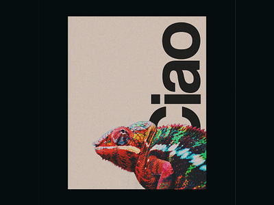 Ciao animal poster branding design dragon flyer graphic design icon iguana illustration inspiration poster minimalist poster poster design posters typography ui ux vector