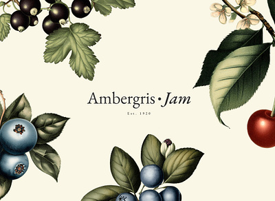 Ambergris Jam - Packaging Design branding graphic design jam jam branding packaging
