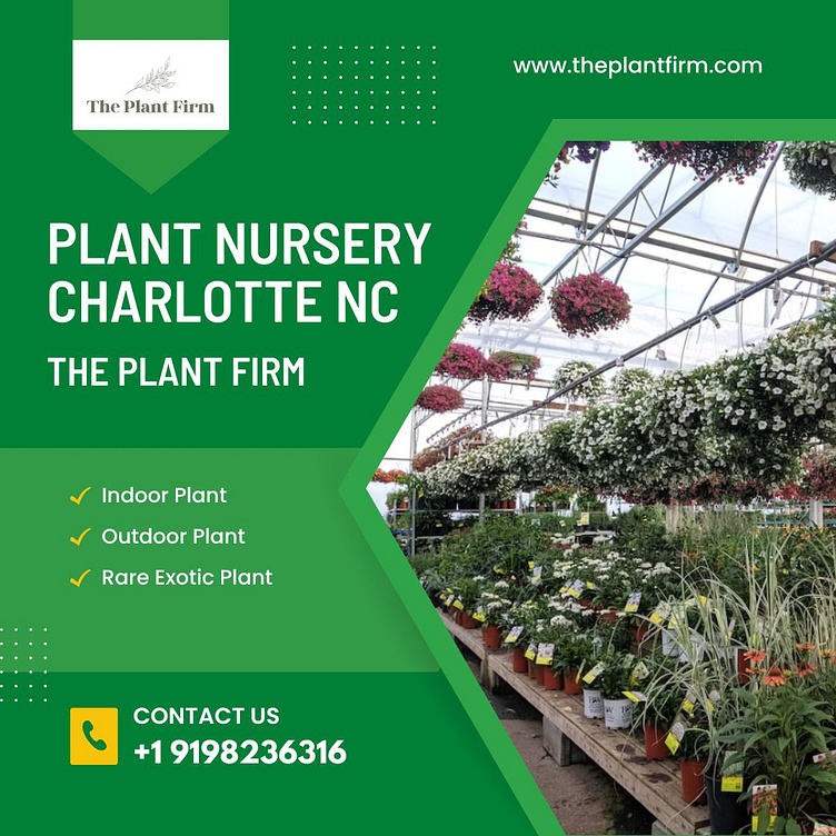 Plant Nursery Charlotte Nc The Plant Firm by The Plant Firm on Dribbble