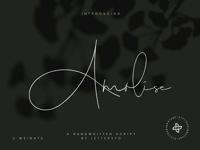 Amolise Signature branding design font graphic design handwritten illustration logo logo design minimal minimalist modern monoline signature stylish vector