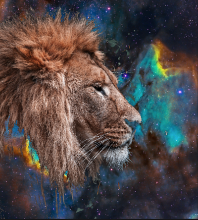 Pixlr Lion In The Stars animal cat course coursework design instruction instructional leo lion nebula pixlr rasta space stars
