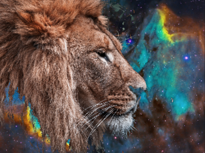 Pixlr Lion In The Stars animal cat course coursework design instruction instructional leo lion nebula pixlr rasta space stars