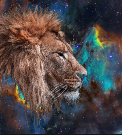 Pixlr Lion In The Stars By Deanne California On Dribbble