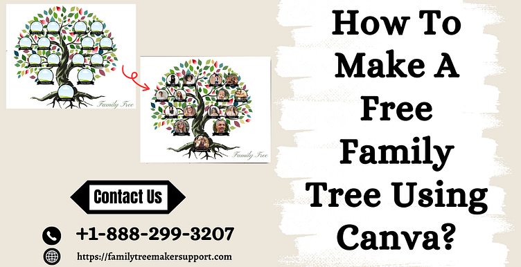 How To Make A Free Family Tree Using Canva? by Kavin Smith on Dribbble