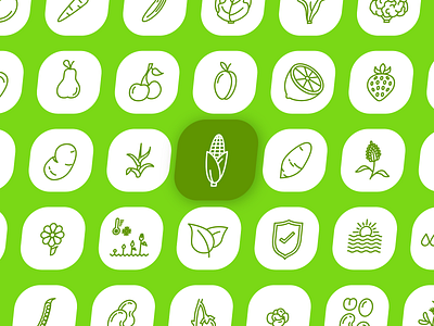 Borealis L.A.T Icon Library cc cognitive creators design frutis graphic design green icon icon design icon set icons lineart lineart icons vegatable