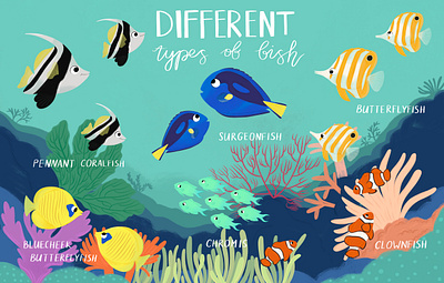 Different types of fish animals book illustration children children book illustration childrensbook colorful fish illustration kidlitart picture book sea underwater