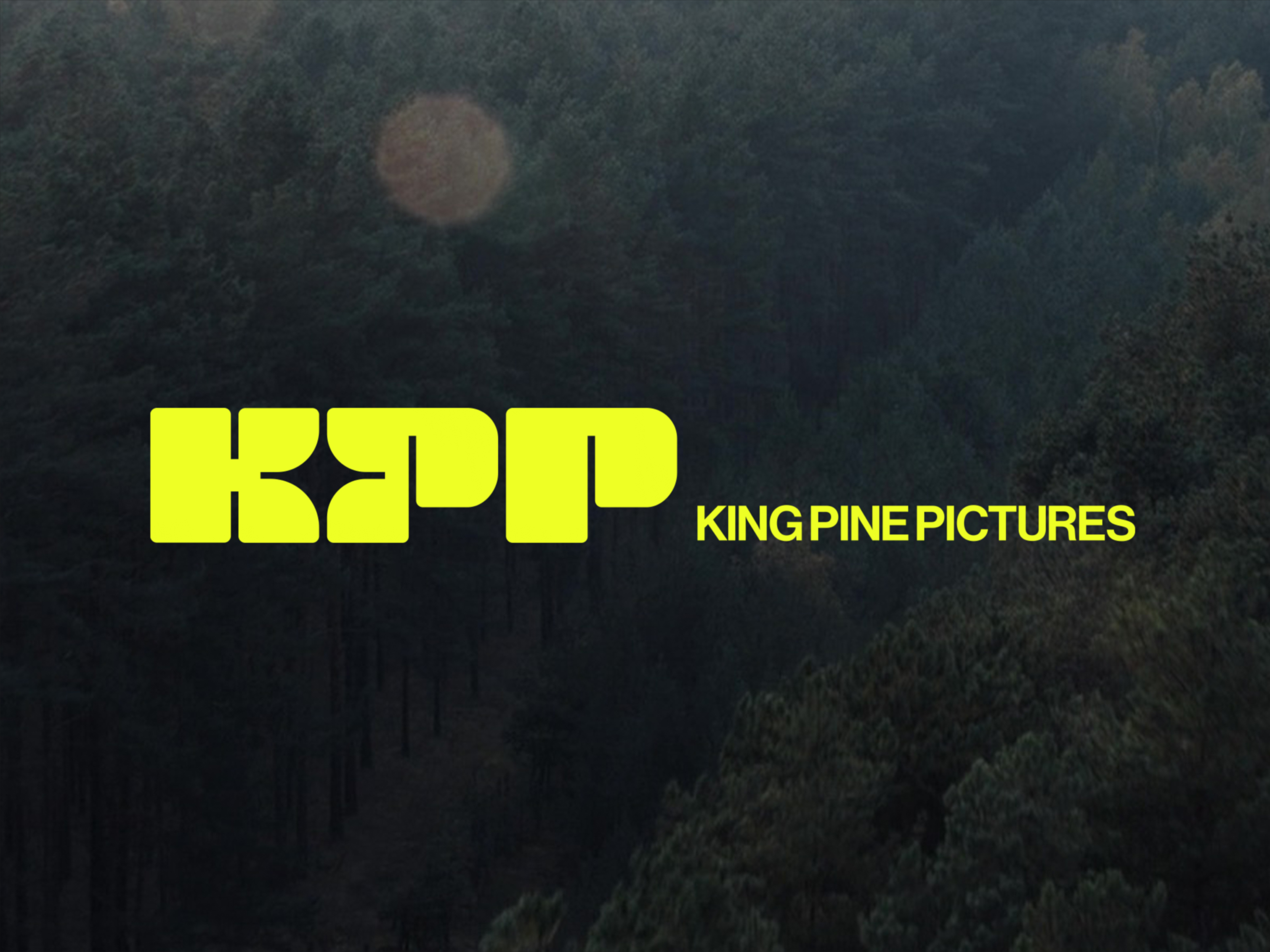 King Pine Pictures - Brand Visuals By Alex Aperios On Dribbble