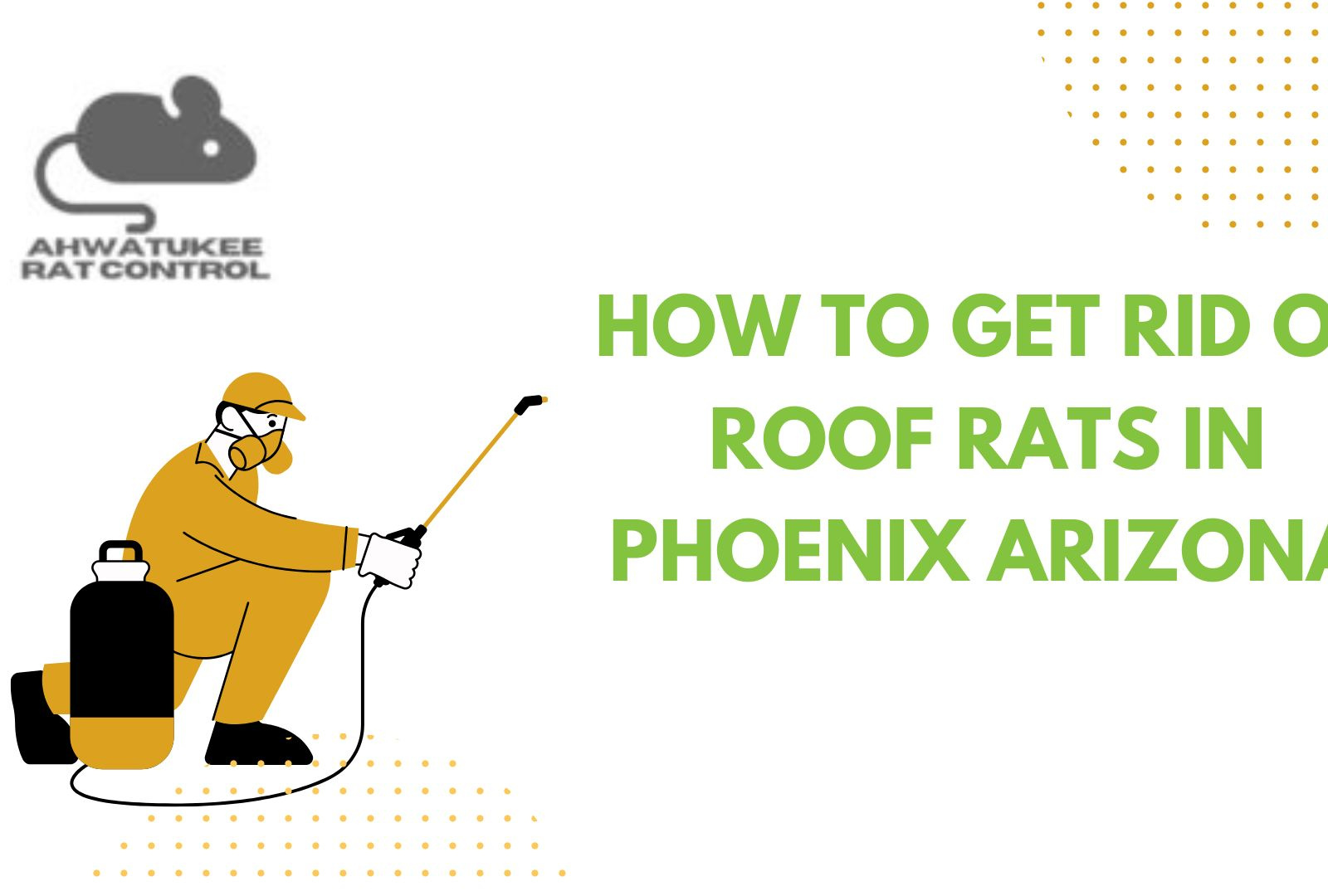 How To Get Rid Of Roof Rats In Phoenix Arizona by Ahwatukee Rat Control ...