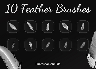 Feather Brushes Photoshop abr abr brushes brushes digital brushes feather feather brushes painted feather photoshop brushe