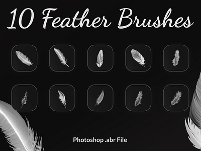 Feather Brushes Photoshop abr abr brushes brushes digital brushes feather feather brushes painted feather photoshop brushe