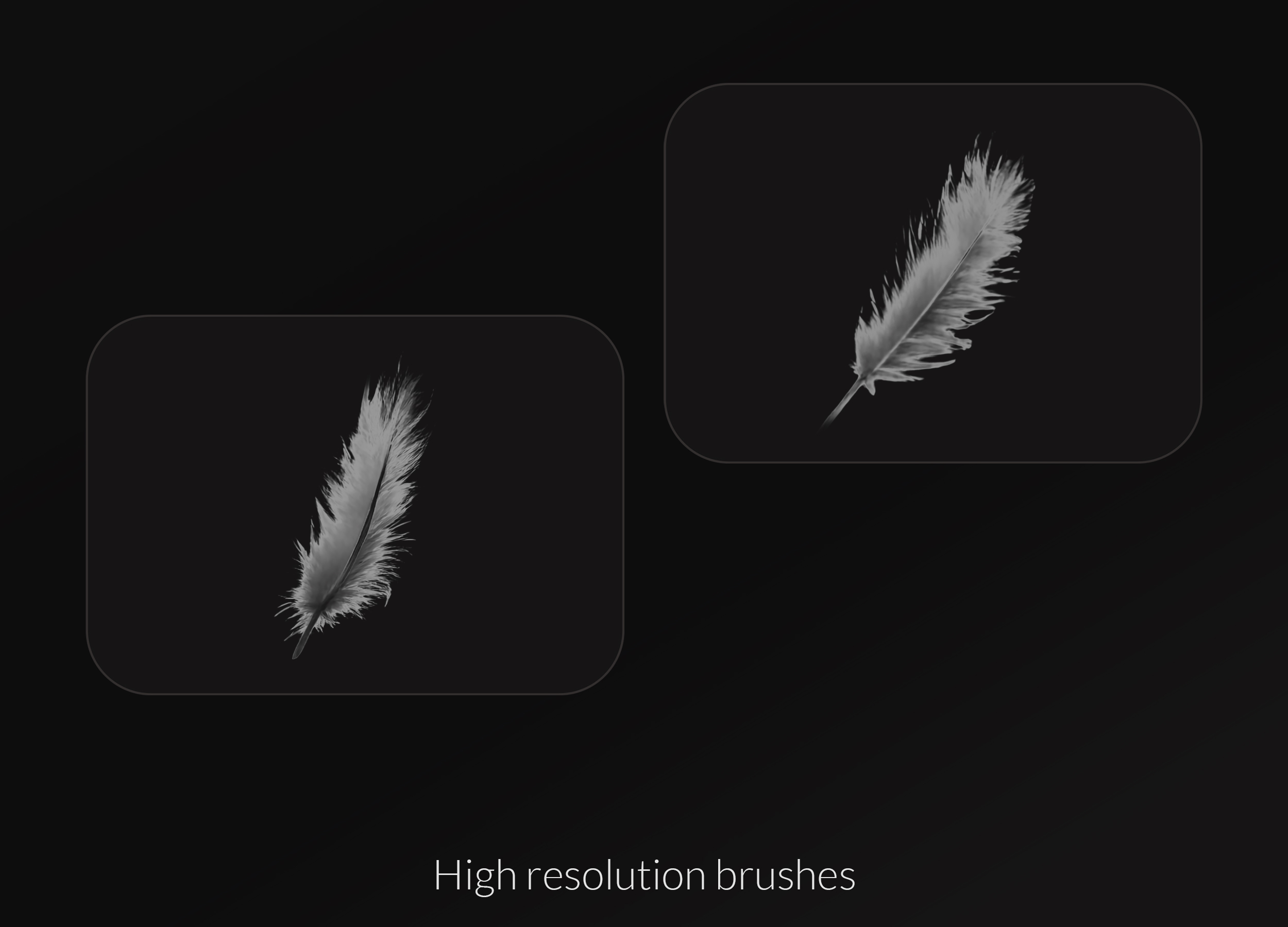 Feather Photoshop Brush