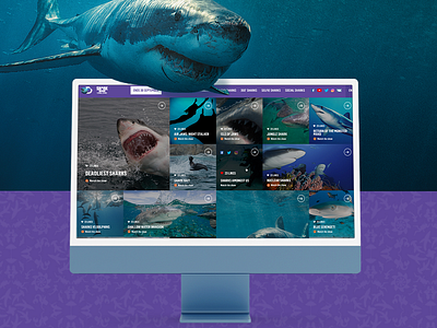 Shark Week Online design graphic design ui uiux ux www