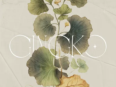 Gingko Biloba botanic botanica design assets design elements gingko old paper texture vintage