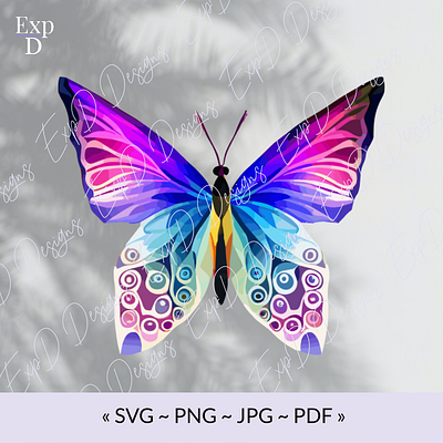 Rainbow butterfly butterfly design graphic design illustration logo pdf png svg