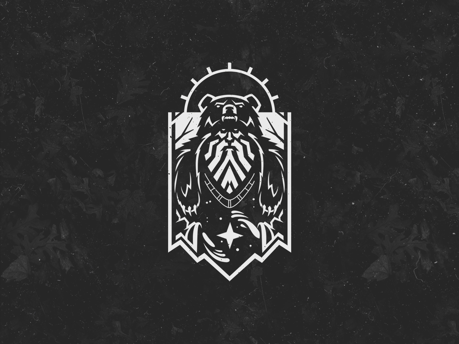 Druid bear book camocreative character design fantasy forest game logo movie mythology