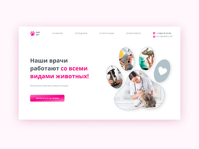 First screen concept | Vet Clinic design homepade landing ui vet vetclinic web design webdesign