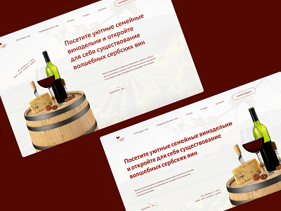 First screen concept | Balkan Wibe # 2 design homepade landing ui ux web design wine